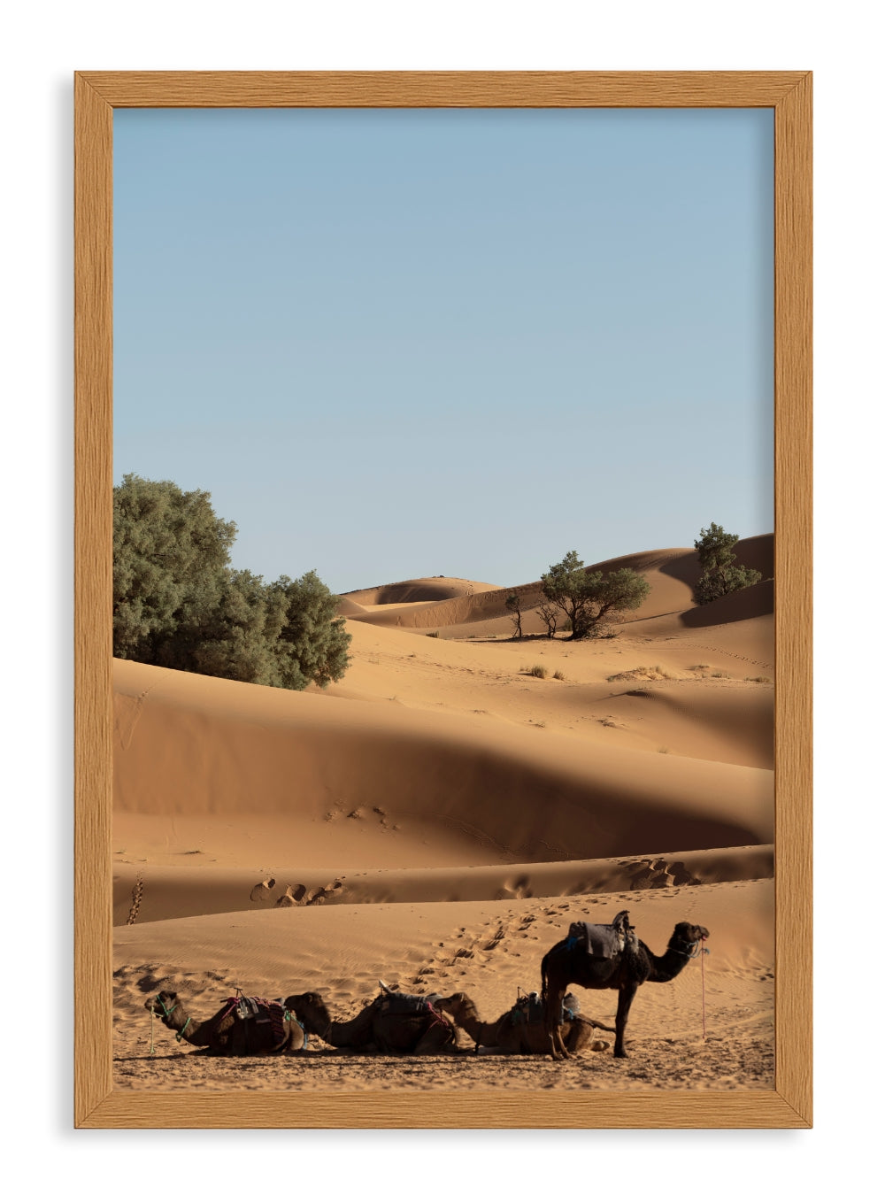 Quadro Dunas X Classic