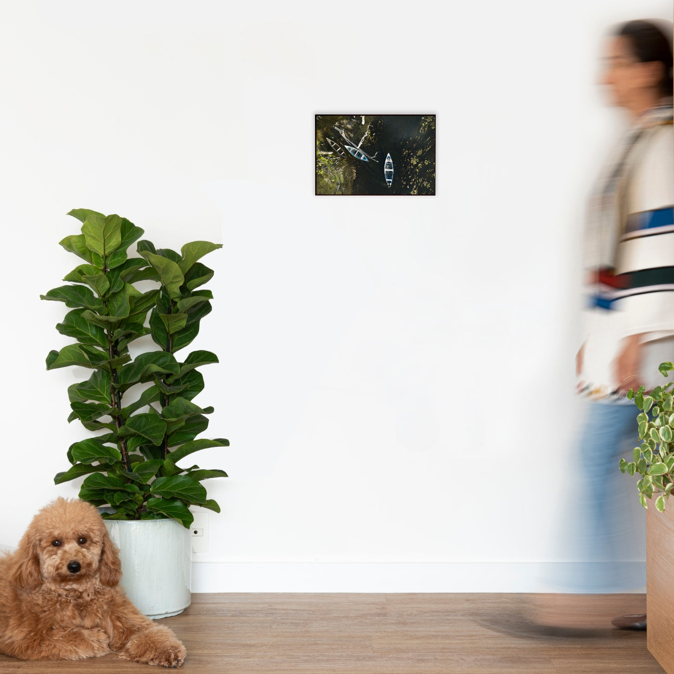 Quadro As canoas Classic