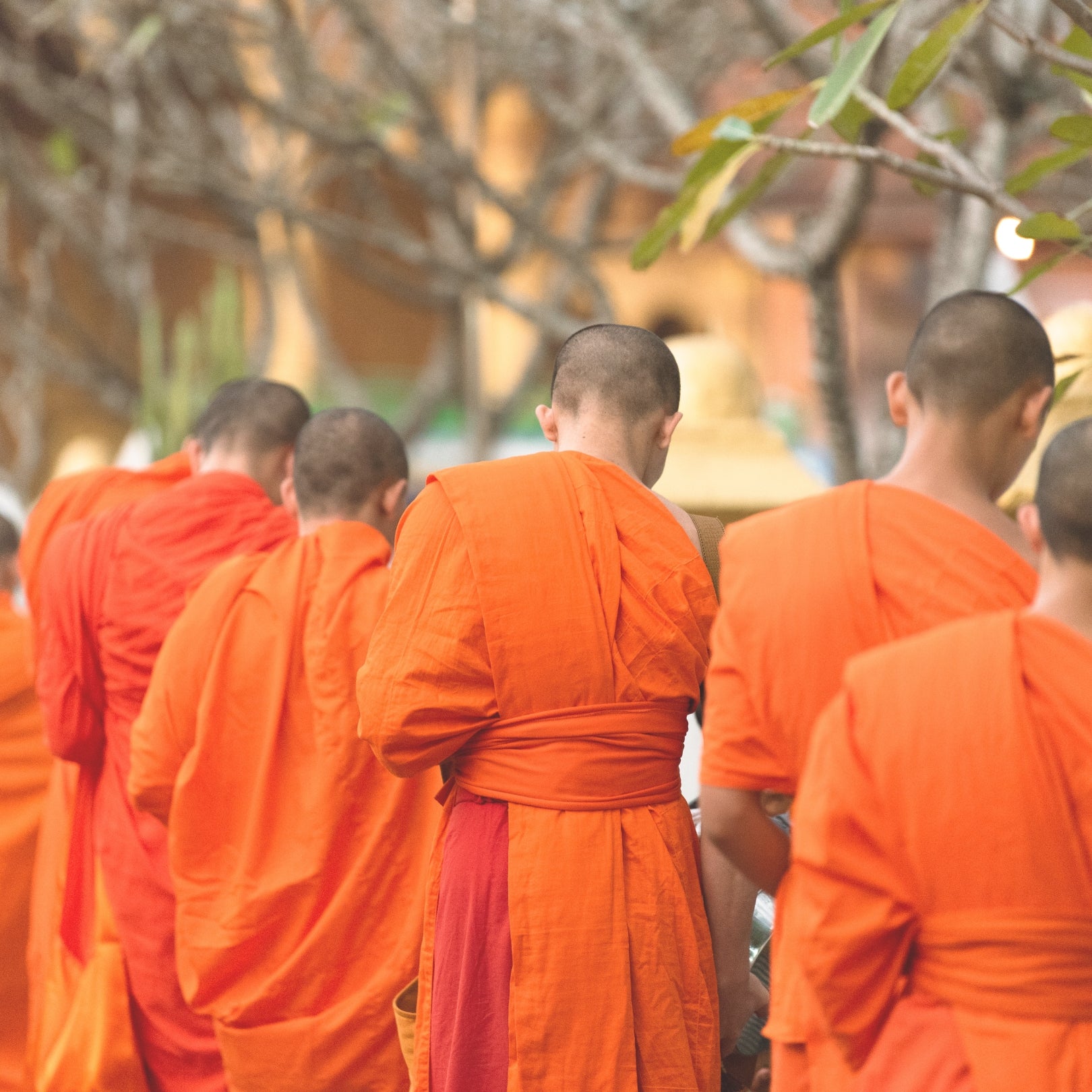 Coleção Laos