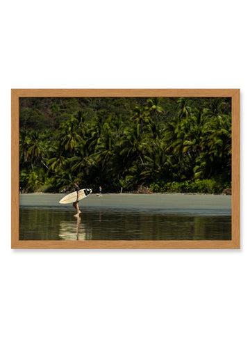 Quadro Tropical Classic