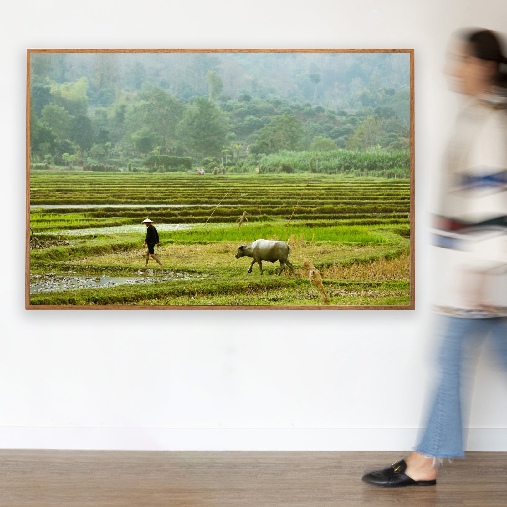 Paddy Field Classic Frame