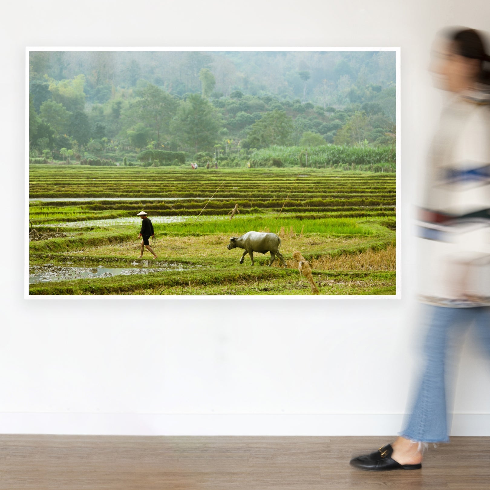 Paddy Field Classic Frame