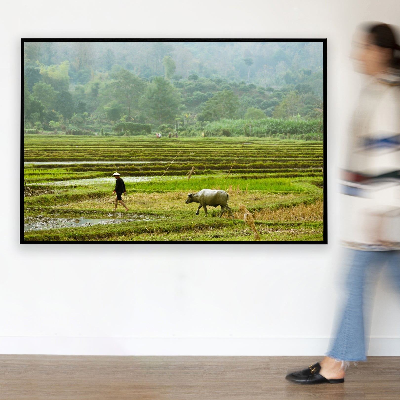 Paddy Field Classic Frame