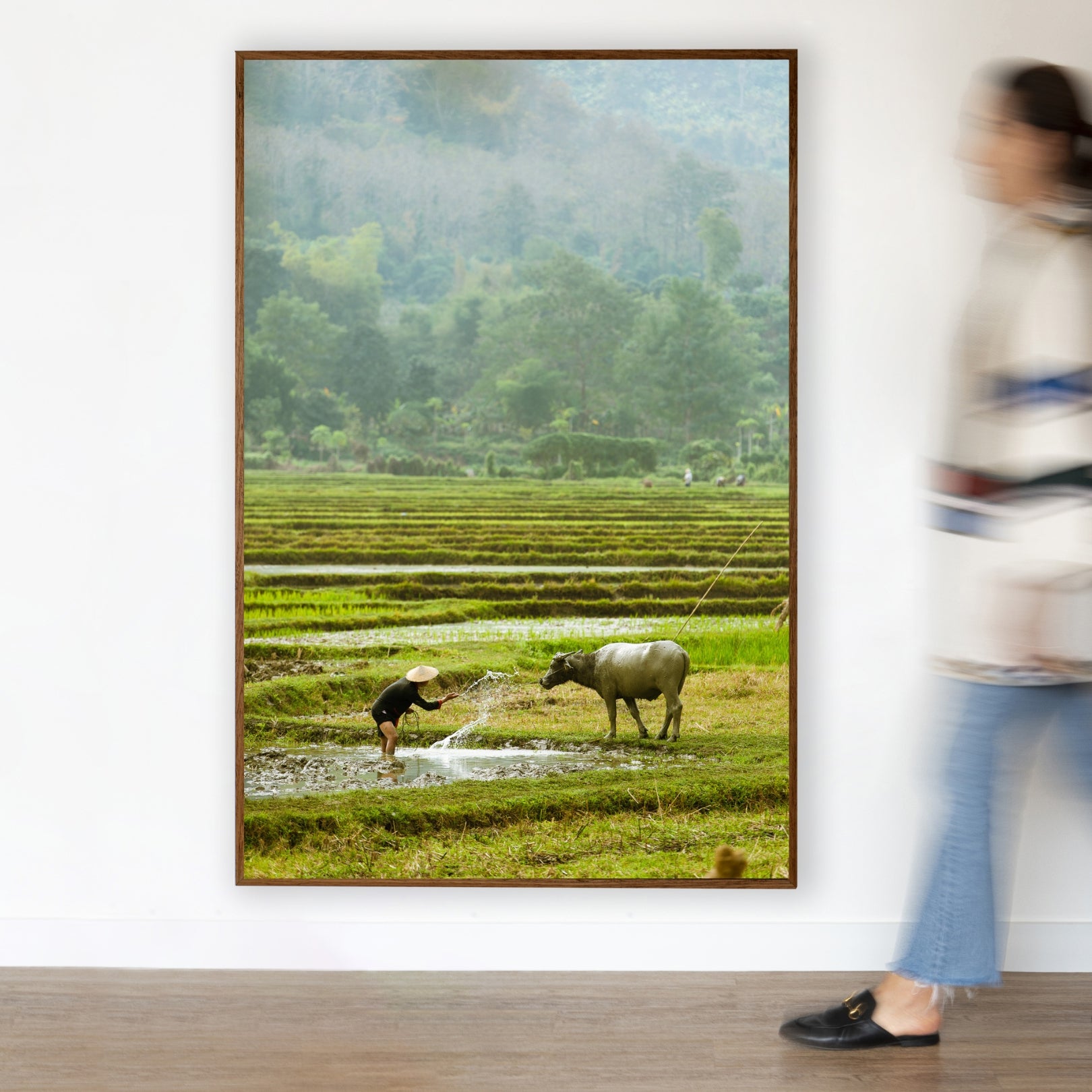 Quadro Rice Farm - Classic