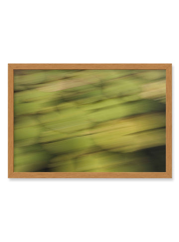 Quadro Nymphaea Classic