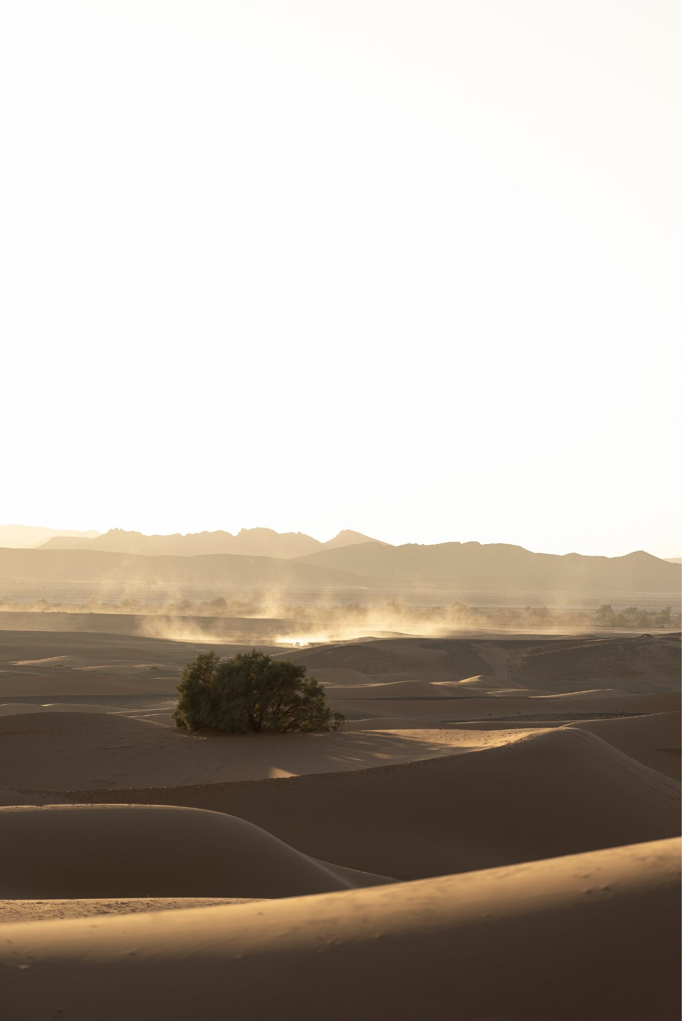 Quadro Dunas VII Classic