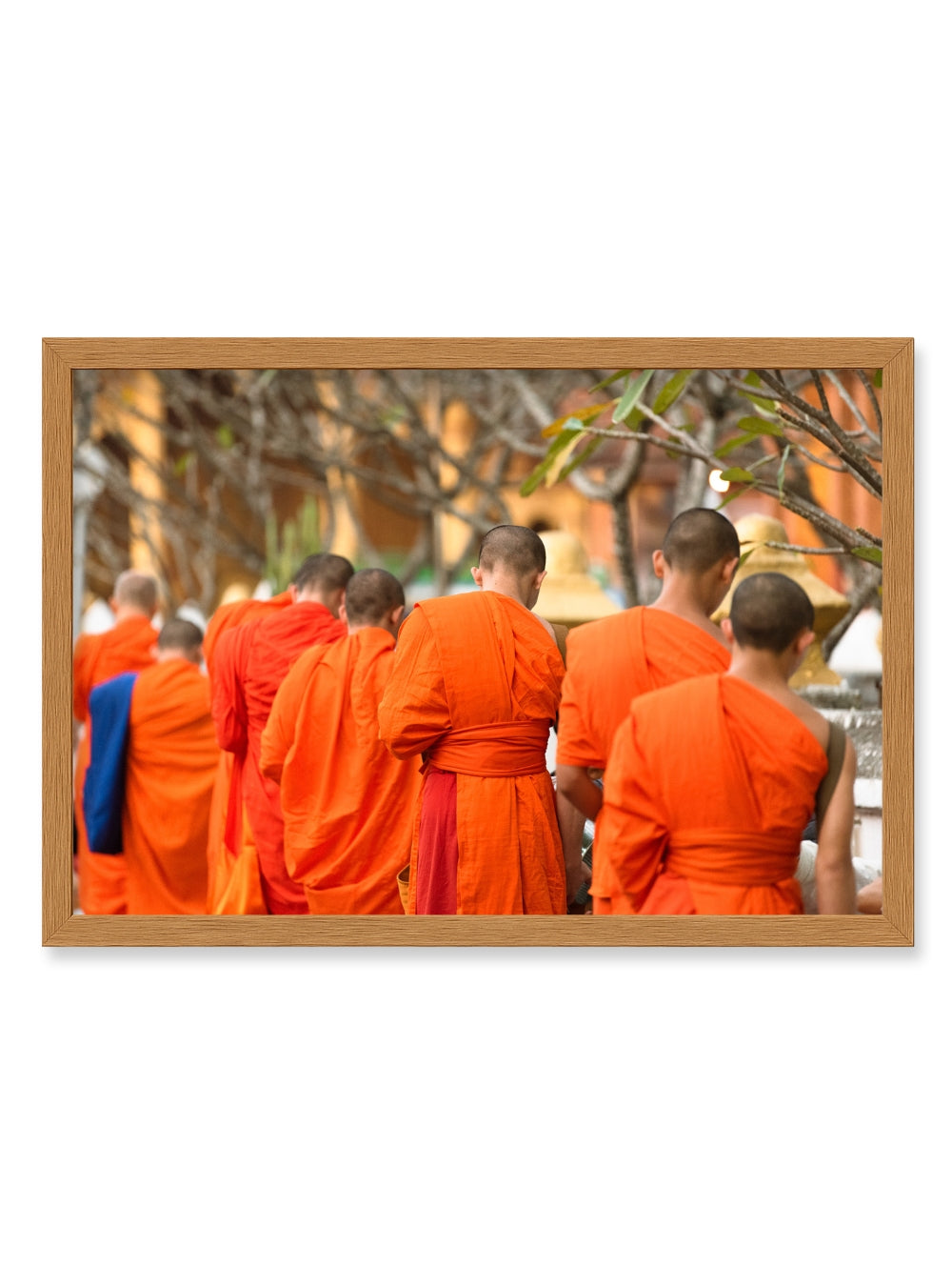 The Tak Bat Ritual - Classic Frame