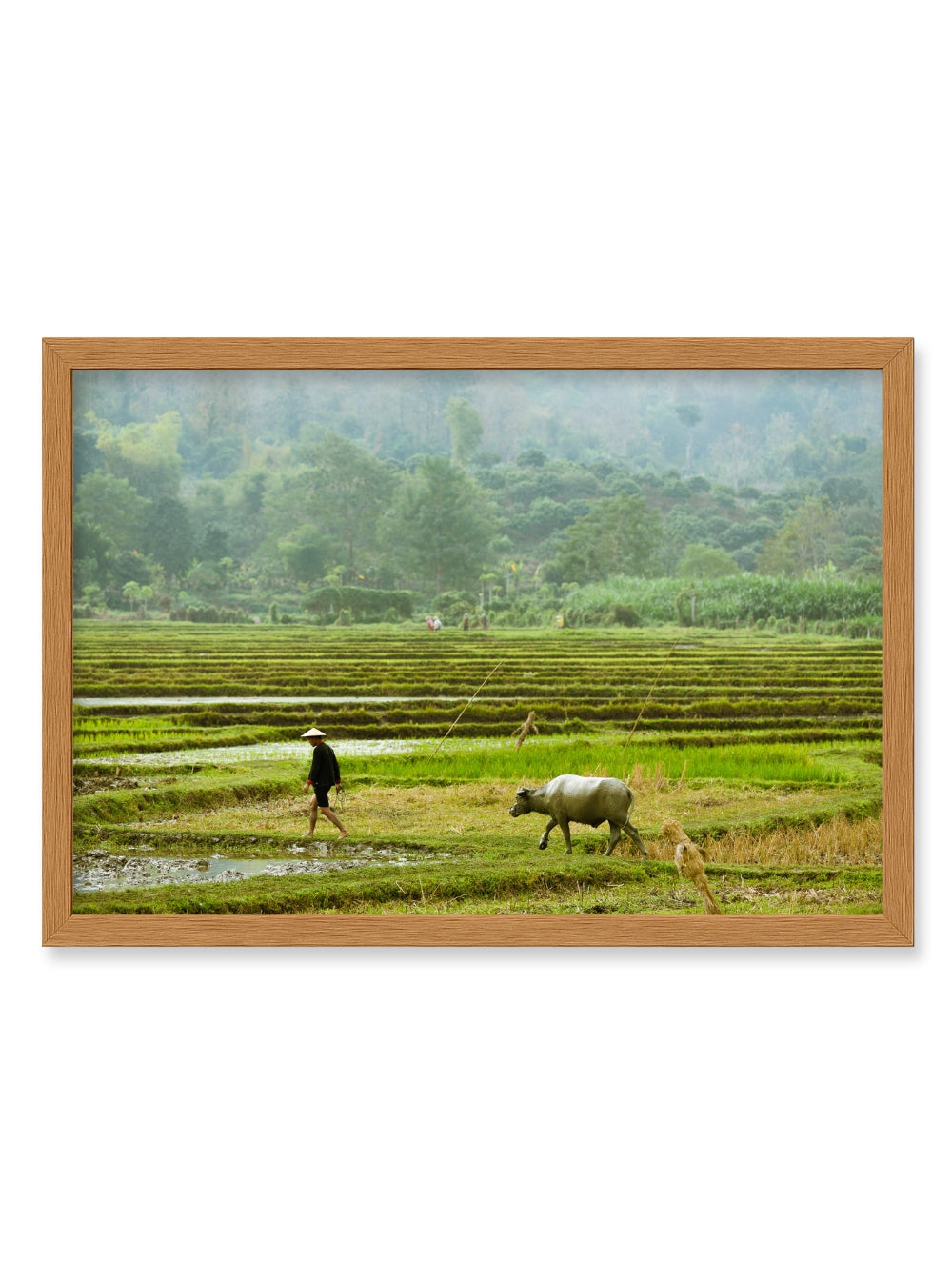 Paddy Field Frame - Classic