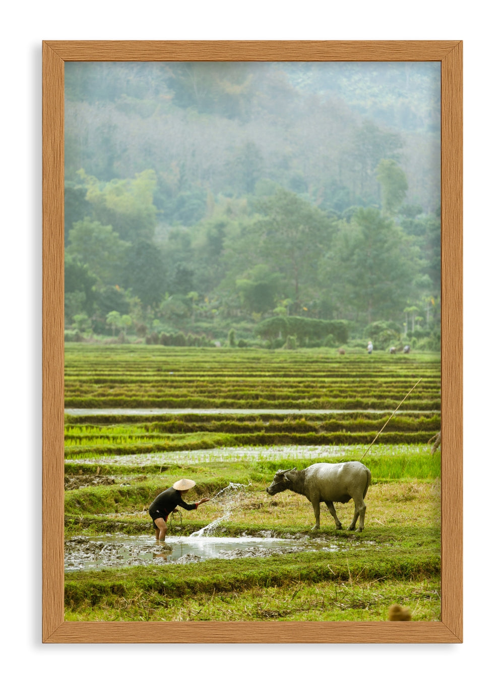 Rice Farm Frame - Classic