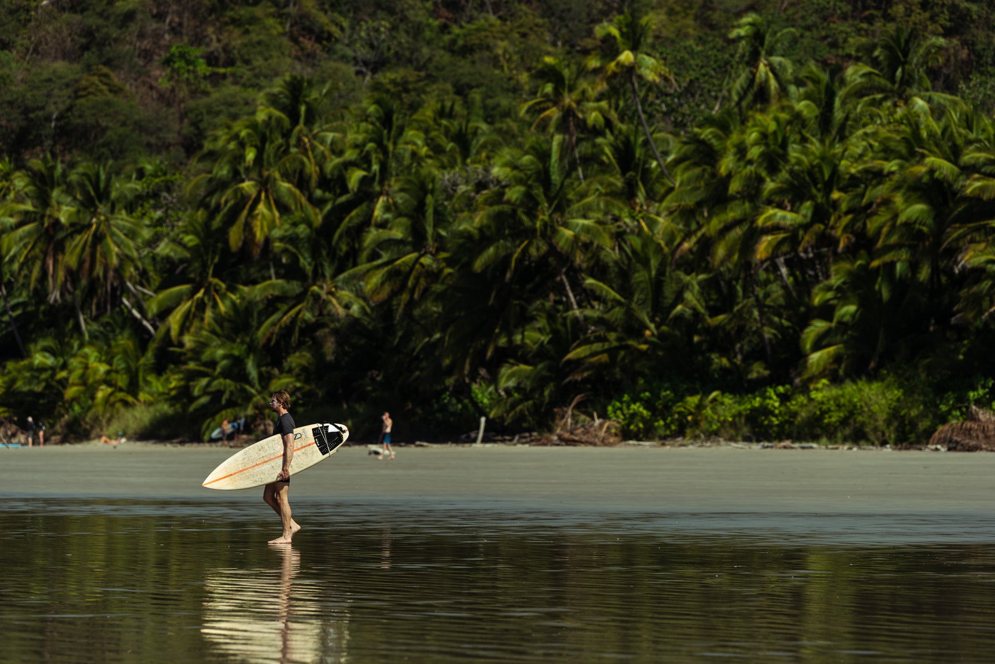 Quadro Tropical Classic