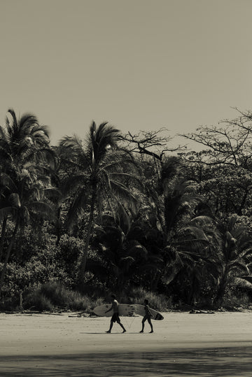 Quadro Delírio tropical II Classic