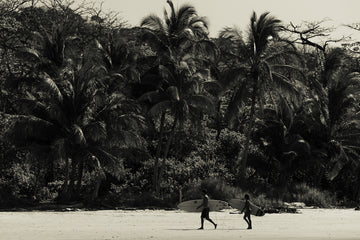 Quadro Delírio tropical III Classic