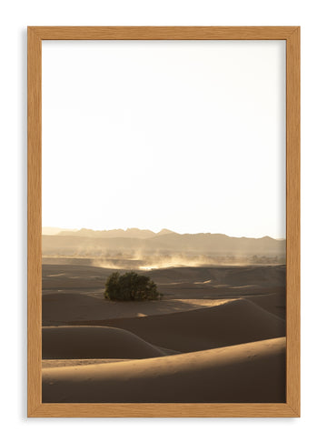 Quadro Dunas VII Classic
