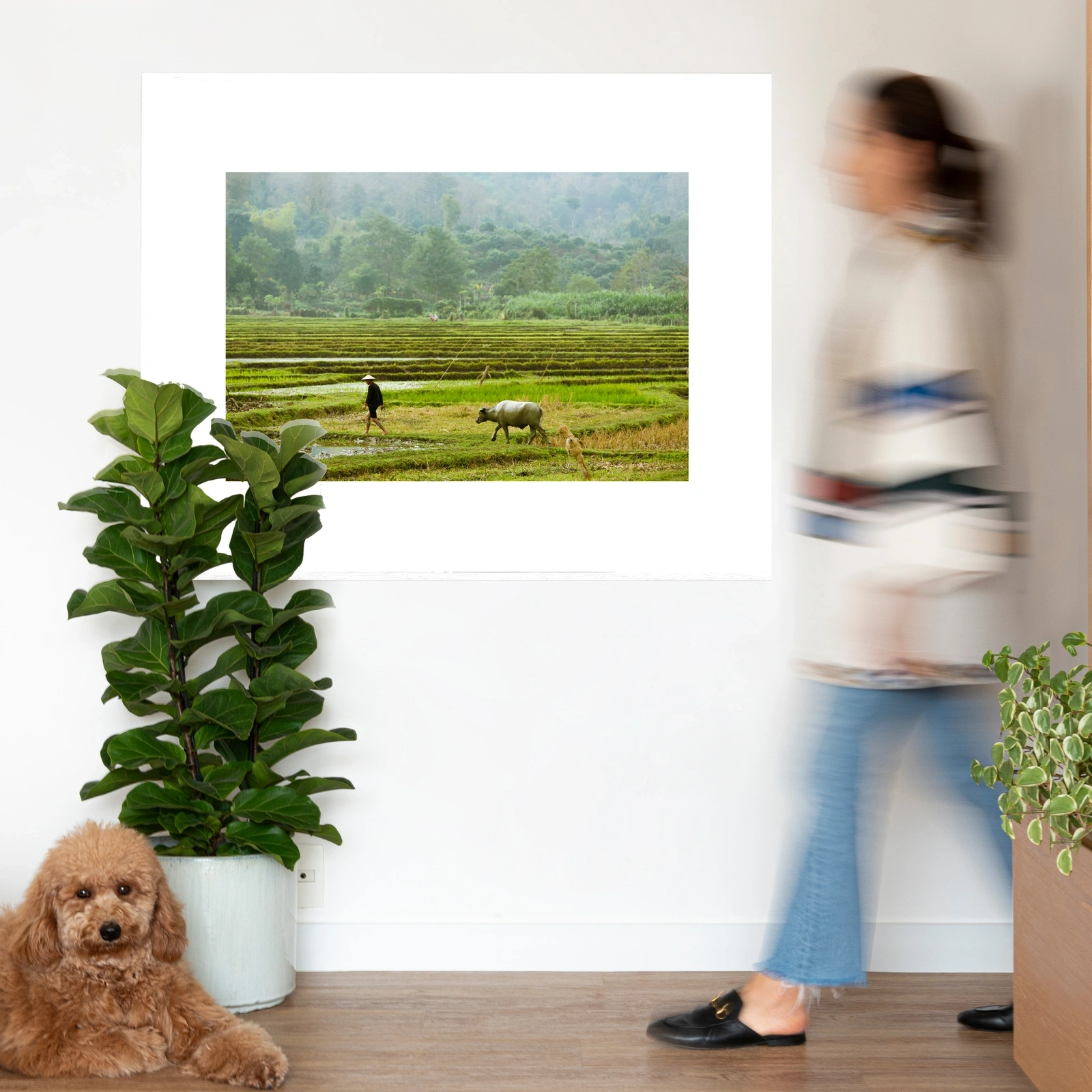 Quadro Paddy Field Classic