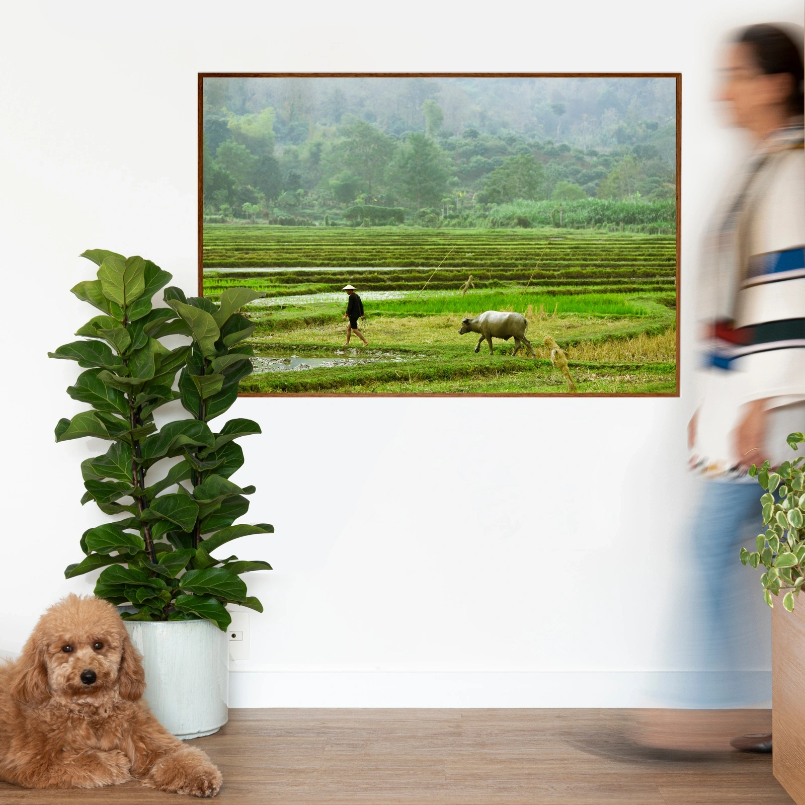 Quadro Paddy Field Classic