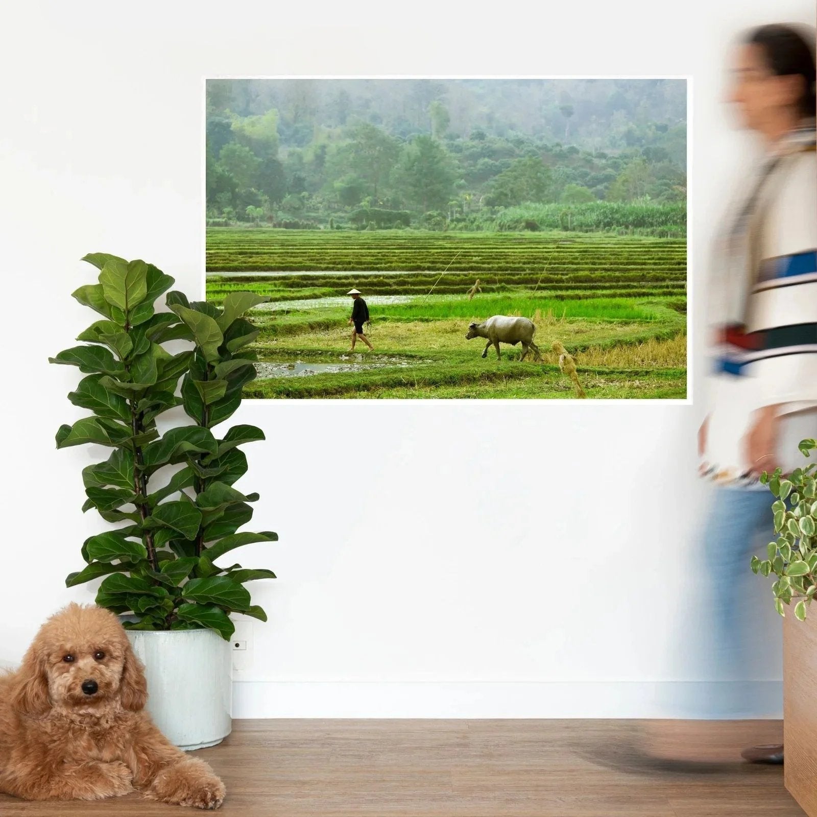 Quadro Paddy Field Classic