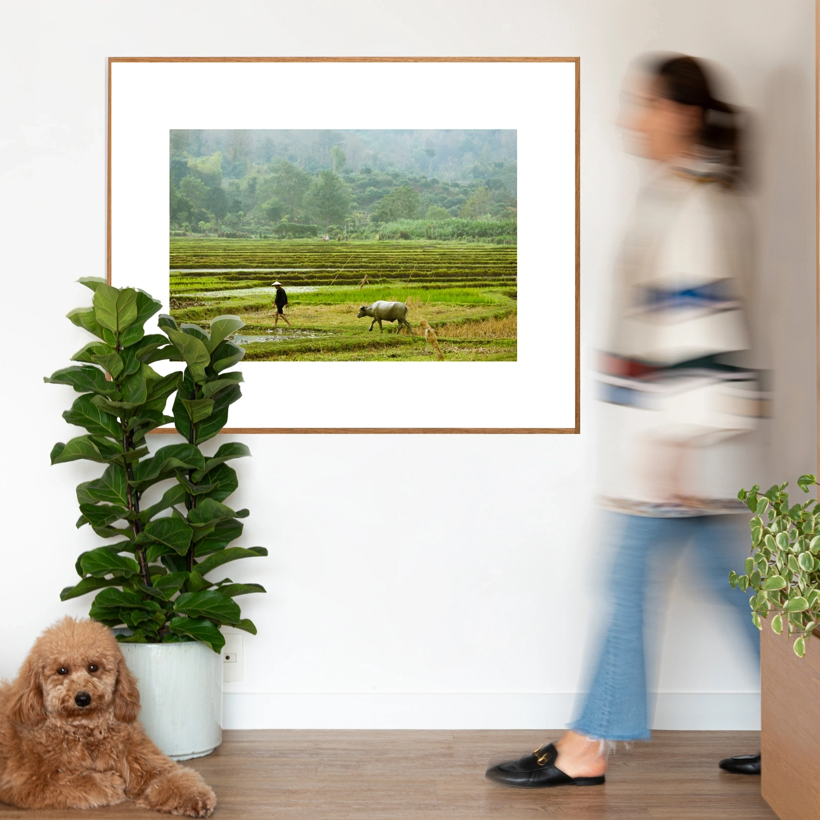 Quadro Paddy Field Classic