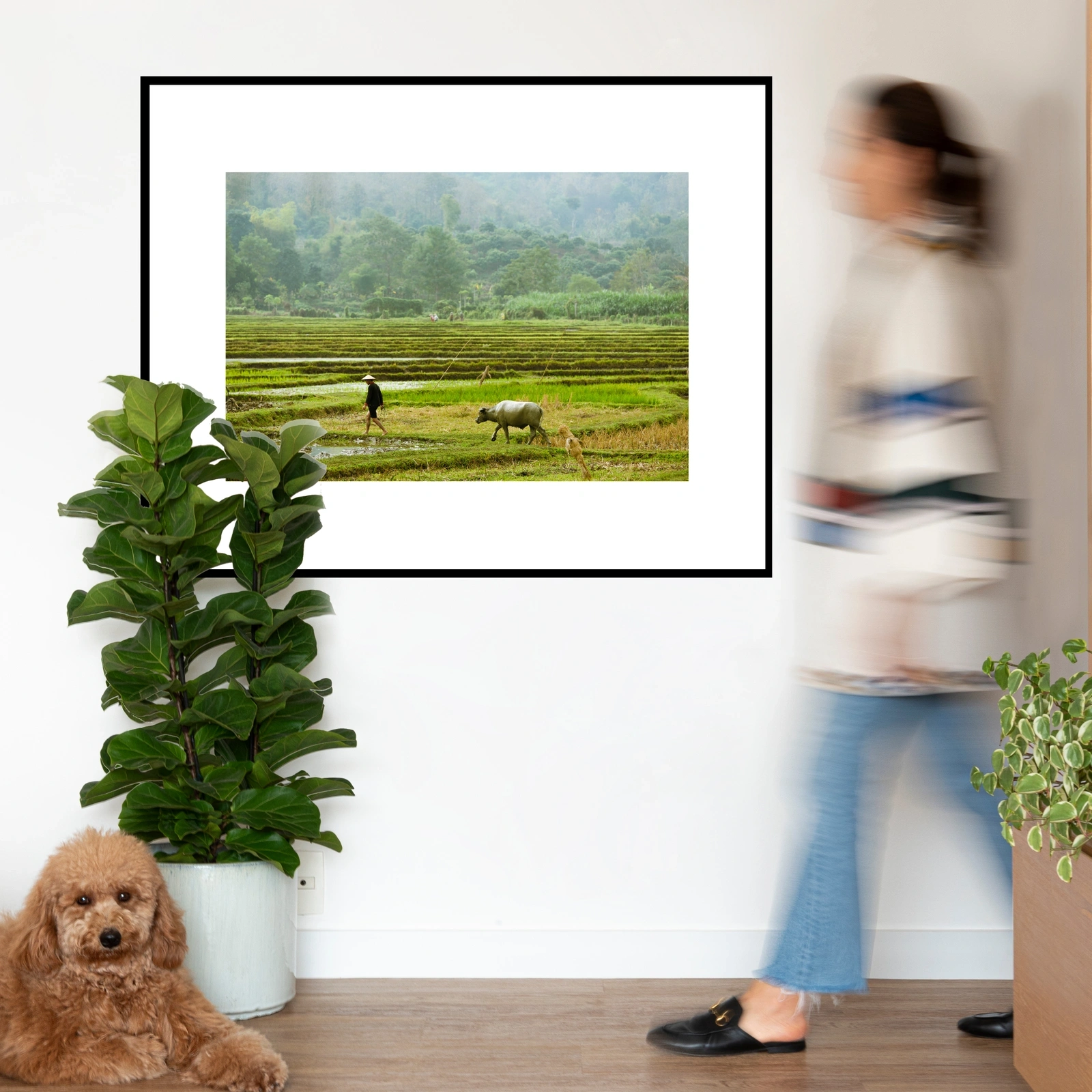 Quadro Paddy Field Classic