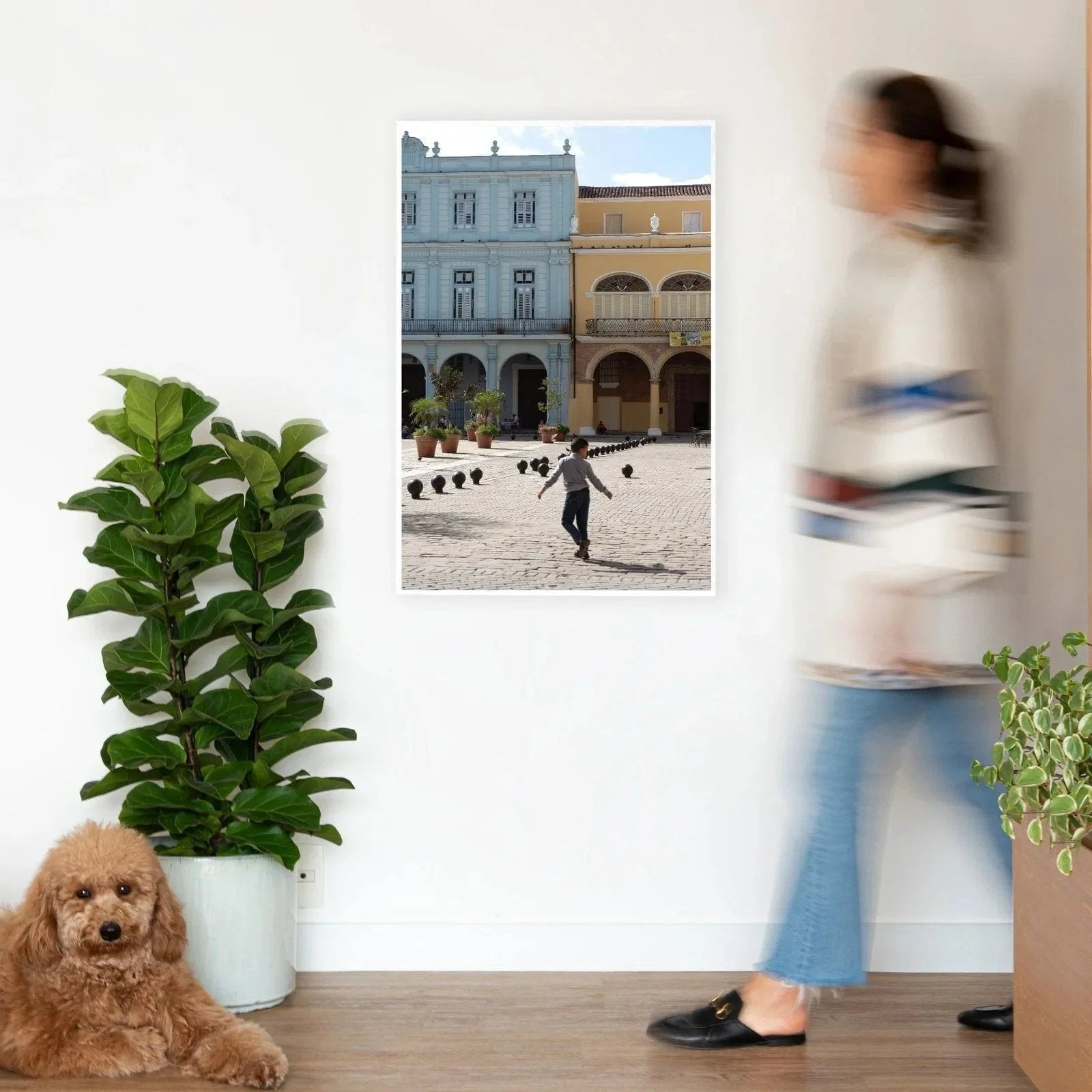 Quadro Plaza Vieja I Classic