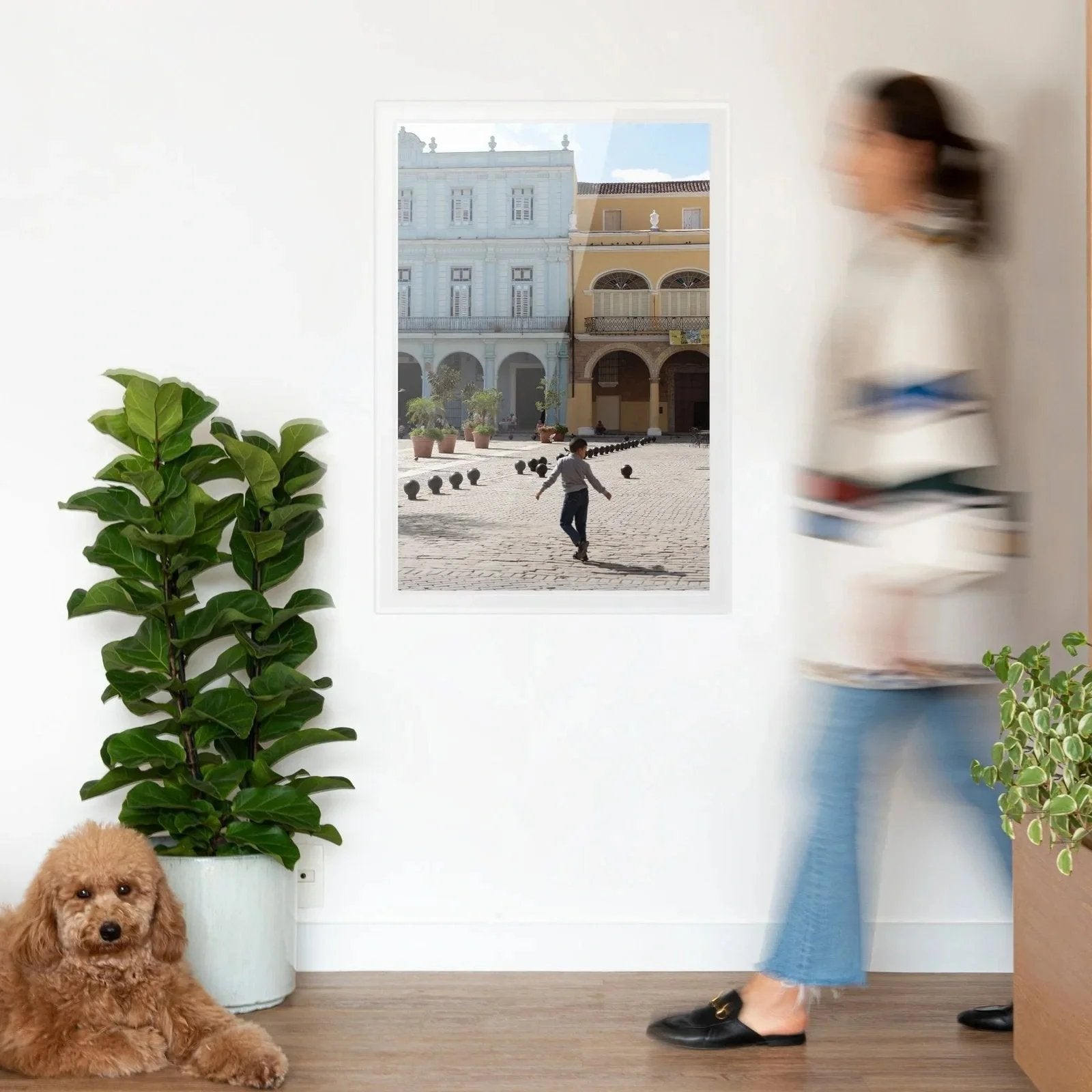 Quadro Plaza Vieja I Classic