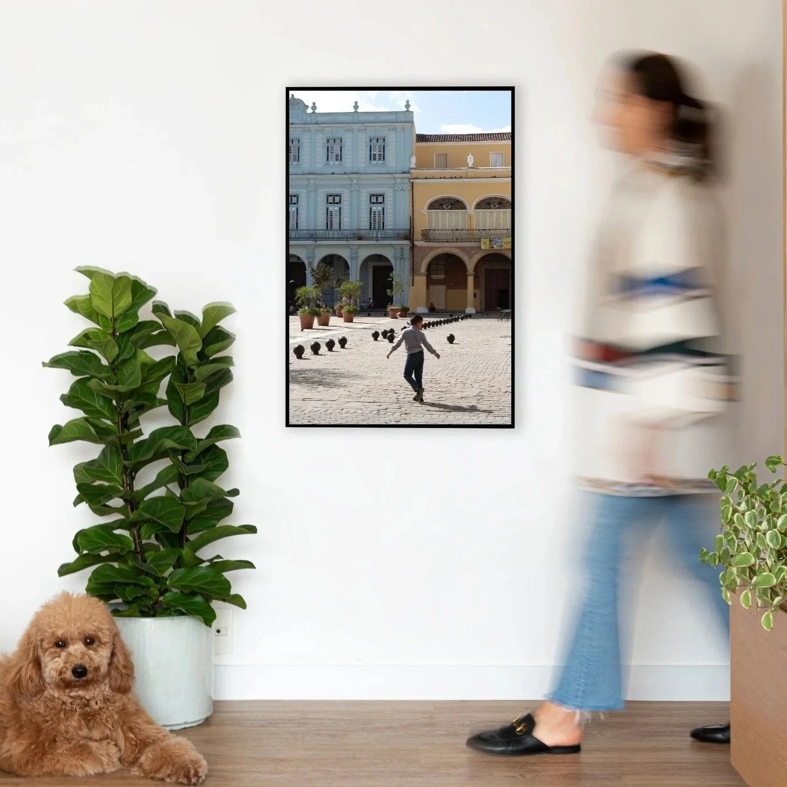 Quadro Plaza Vieja I Classic